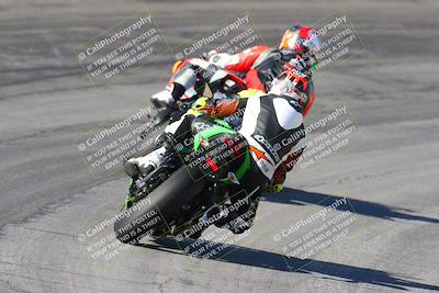 media/Feb-04-2024-SoCal Trackdays (Sun) [[91d6515b1d]]/4-Bowl Backside (11am)/